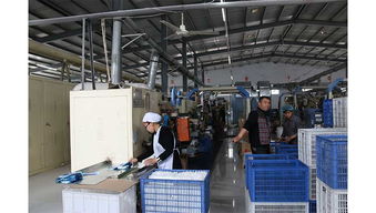 石家莊宏大衛生用品廠 專業技術服務，為您提供全方位衛生保障